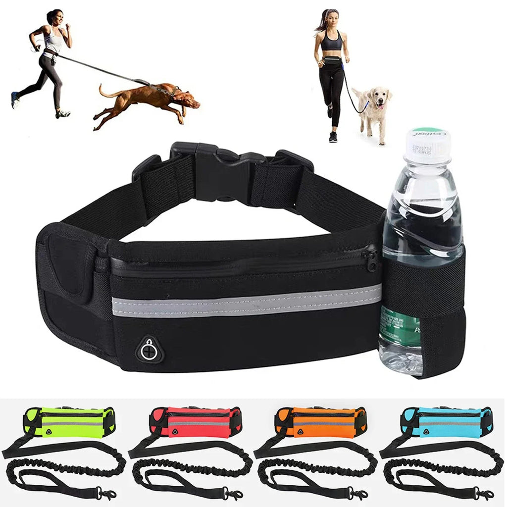Hands Free Dog Leash -- More Comfortable Walks, Better Control