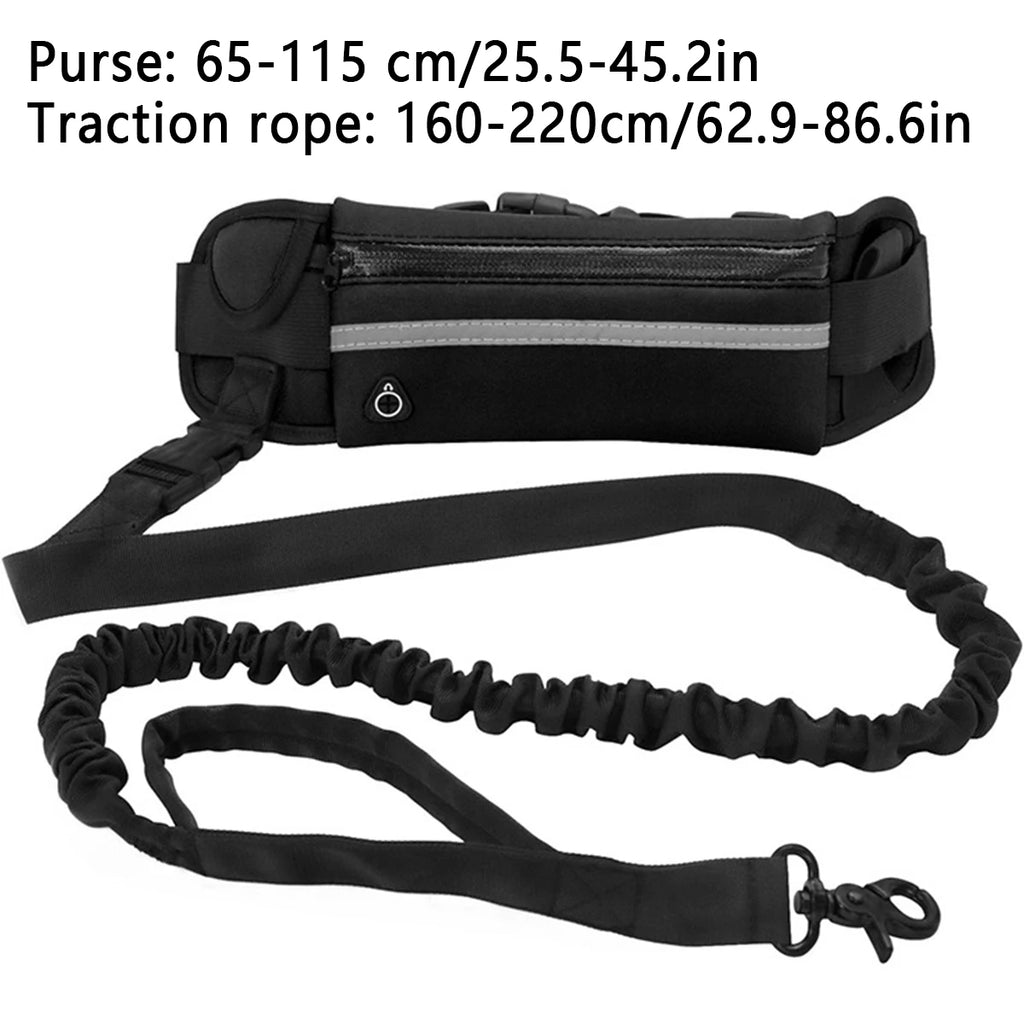 Hands Free Dog Leash -- More Comfortable Walks, Better Control